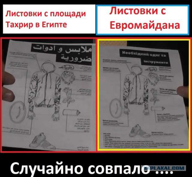 Представитель госдепа США приехала в Киев