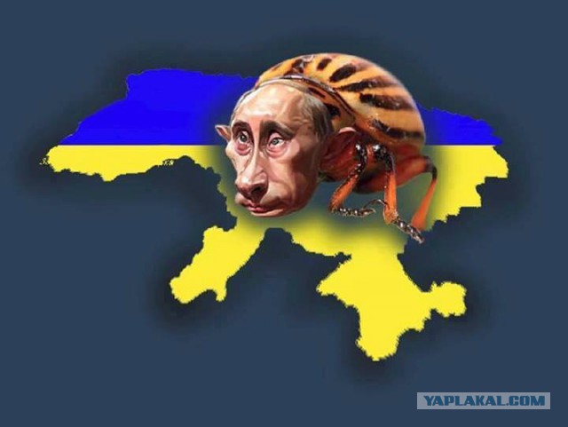Срочное сообщение из Донецка