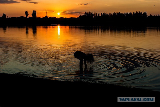 Арабатская стрелка