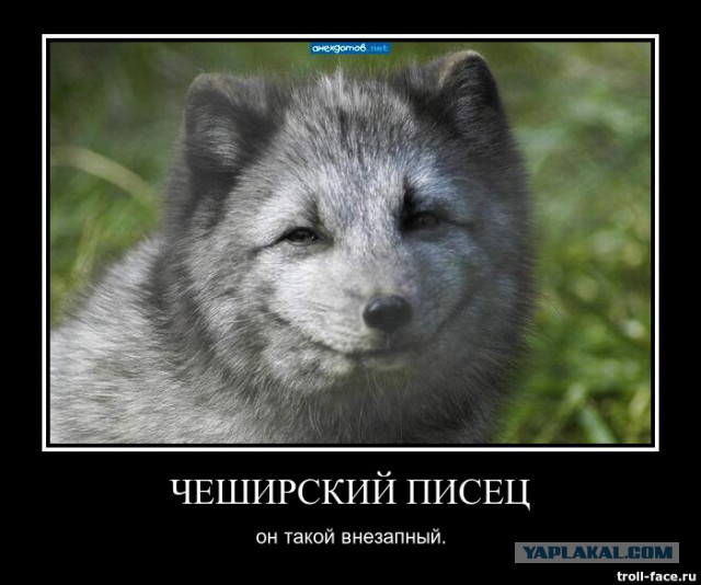 Украина, Грузия и Молдавия подписали соглашения