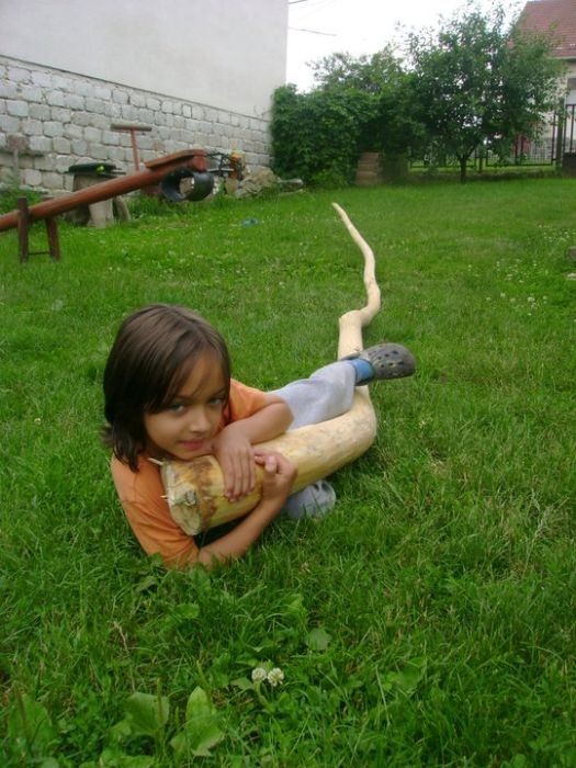 Деревянный питон в саду. Ручная работа