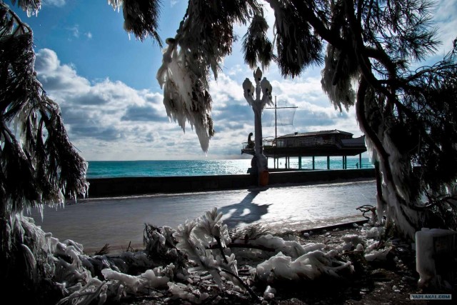 Фото Татьяна Ка