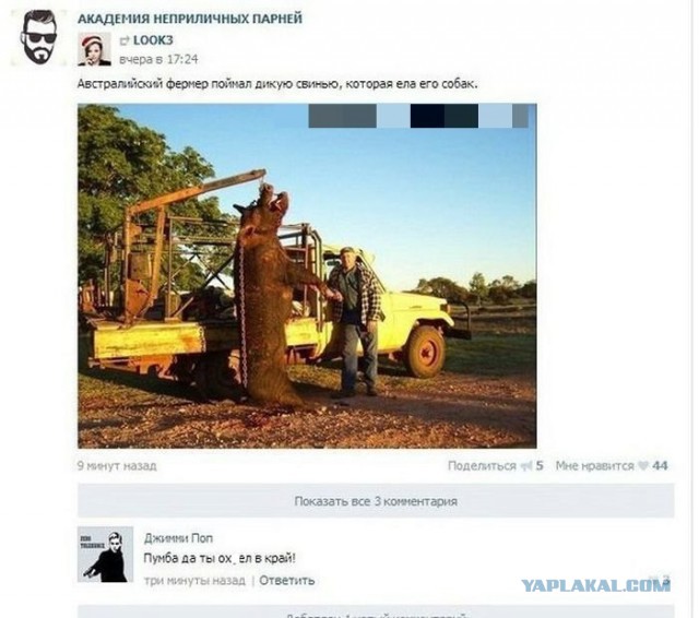 Смешные комментарии из социальных сетей