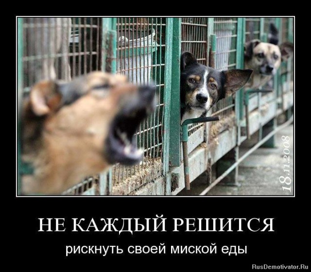 Вы хотите "демов"? часть 2-я
