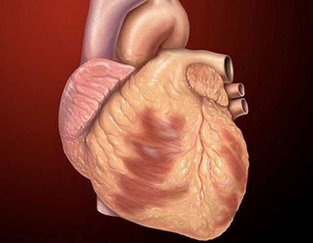 Любопытные факты о Древнем Египте