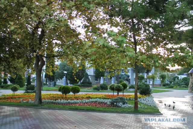 Вечерний Геленджик