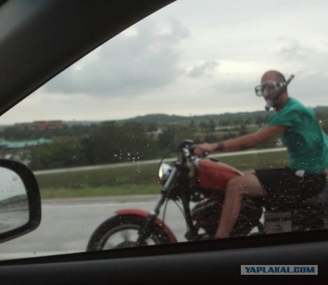 Подборка интересных и веселых картинок