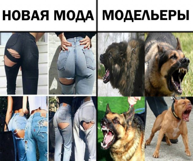Подборка безудержного веселья