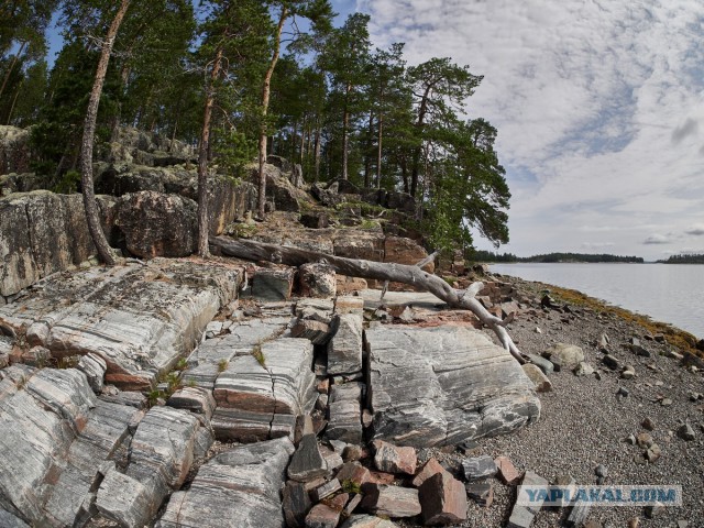 Карелия. Белое море. Немного о рыбалке.
