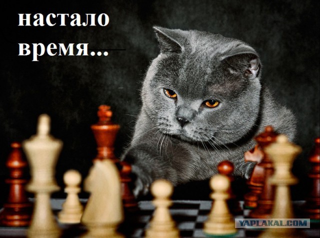 Как вернуть потерянный телефон, если его нашёл не самый порядочной человек…