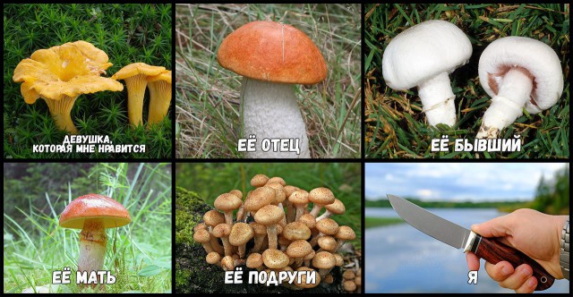 Картинки из интернетов