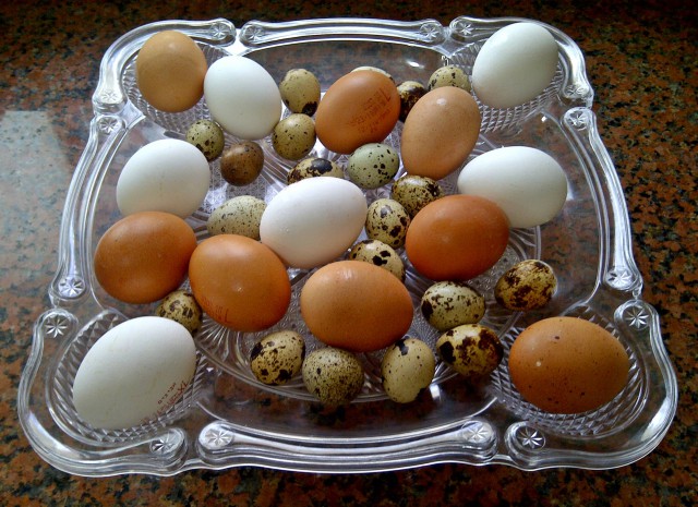 Яичный подкат