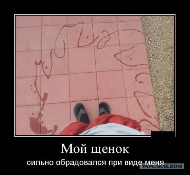 Картинки разные