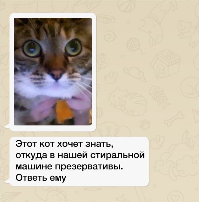 14 неожиданных сообщений от родителей