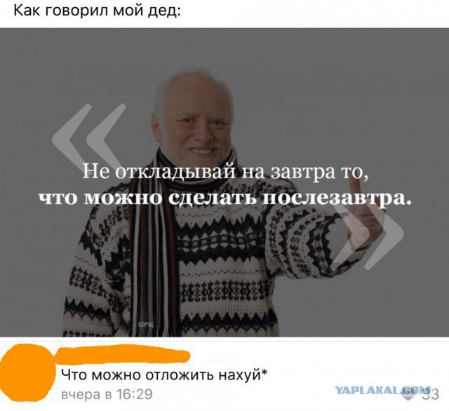 А вот и деградация подтянулась! Ныряем в омут с головой!