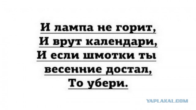 Синоптики предупредили москвичей о феноменальном ультраполярном вторжении