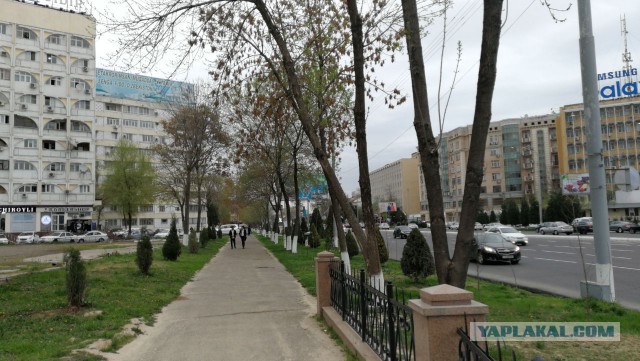 Узбекистан. Мои впечатления