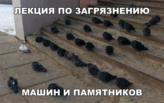 Нестандартный юмор