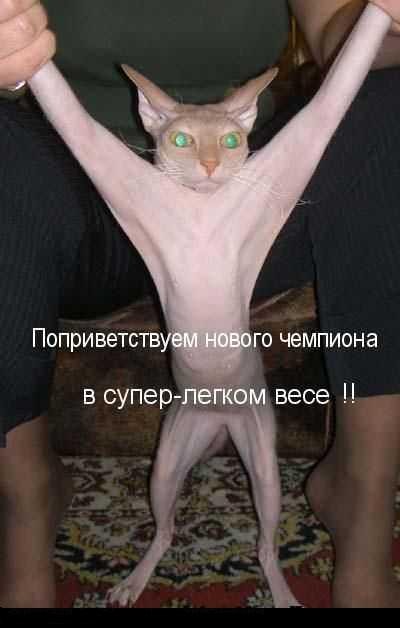 Котомет на вторник (02.04.08)