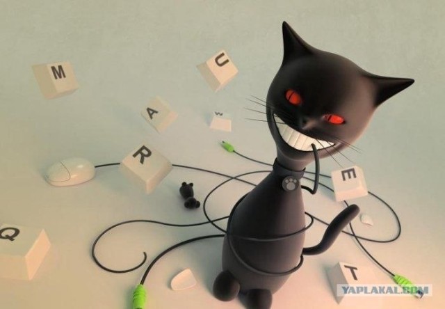 Котовторник в ЯПонии (58 фот)