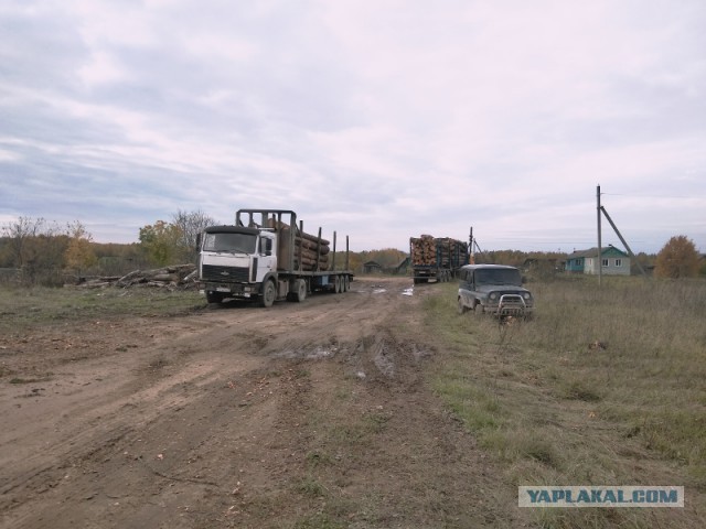 Лёд тронулся, господа присяжные, лёд тронулся.  О дороге и школьном автобусе (продолжение).