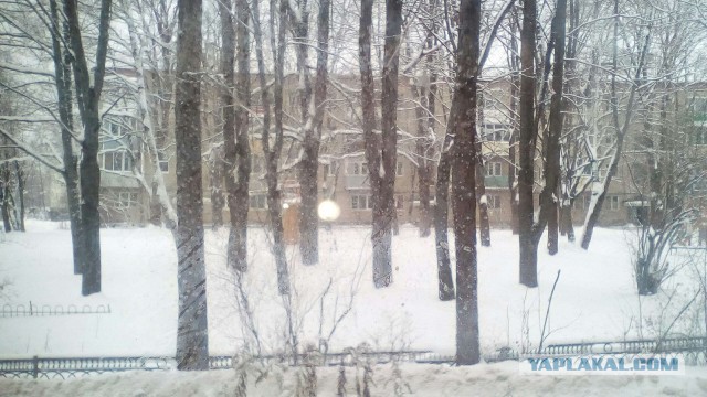Депутат Пермской городской Думы Илья Лисняк предлагает запретить в многоквартирных домах использование газовых плит