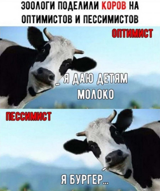 Дурацкие картинки