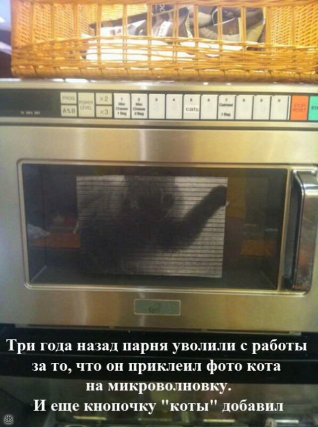 Нестандартный юмор