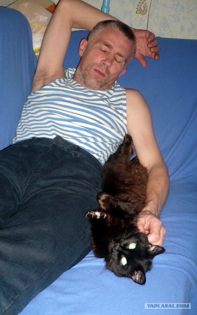 Котенька и лук