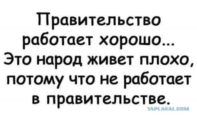Анекдоты, соц-сети, истории и картинки с надписями