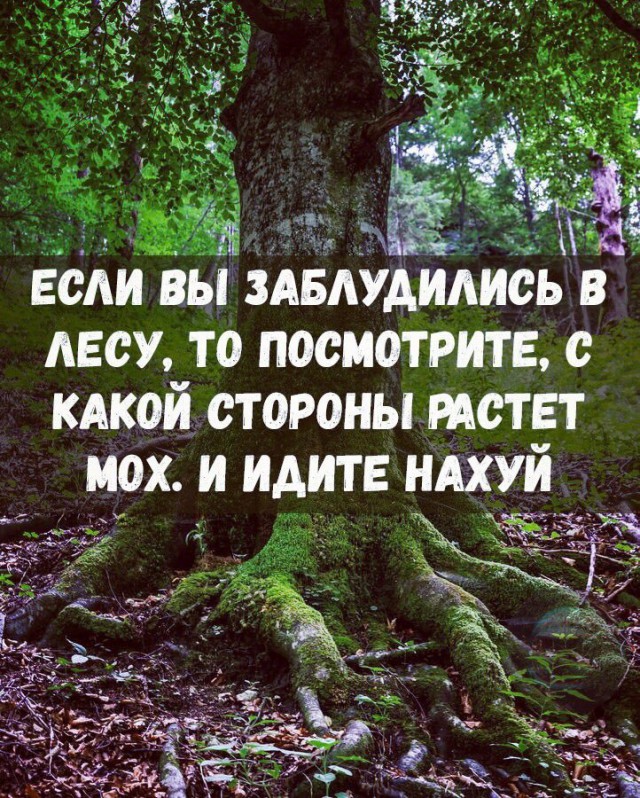 Сутки в лесу. Или "для чего нам уроки ОБЖ"