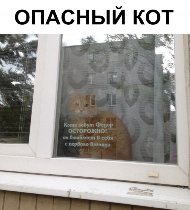 Немного картинок для настроения