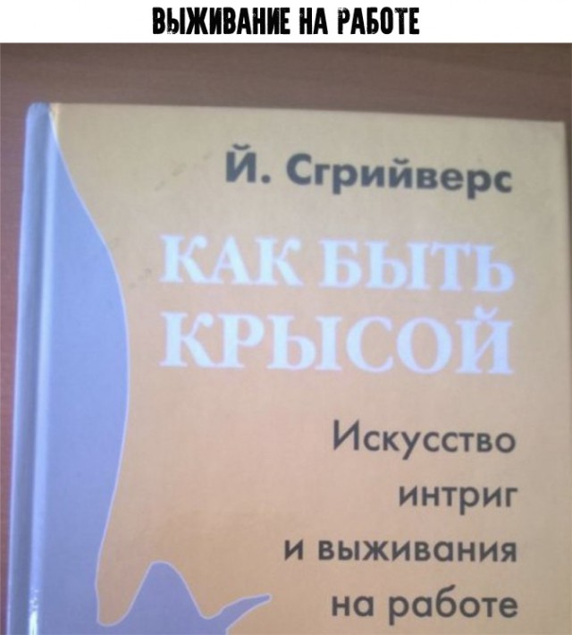Немного картинок для настроения