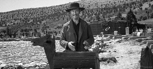 Боливар не вынесет двоих. Читать этот мир меня не выдержит 2. Цитаты. Читать этот мир меня не выдержит 2. Читать этот мир меня не выдержит 2.