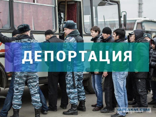 Мигранты, потерявшие работу из-за коронавируса, потребовали от России их кормить