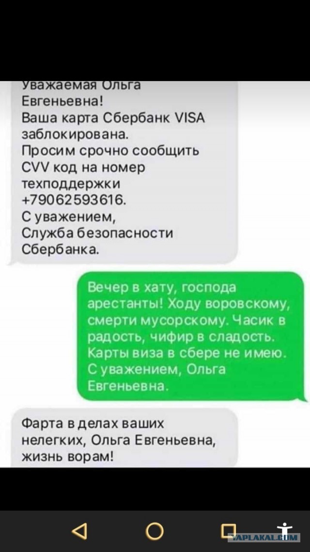 И что-то так обидно мне стало