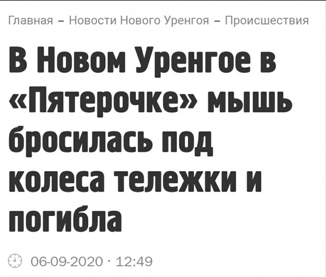Немного картинок для настроения 19.09.20