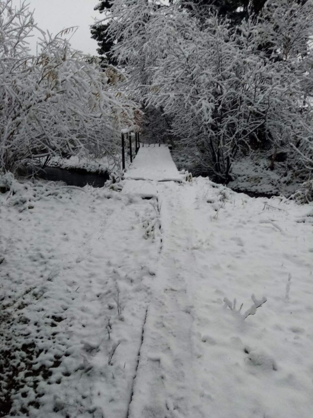 В Красноярск пришла зима