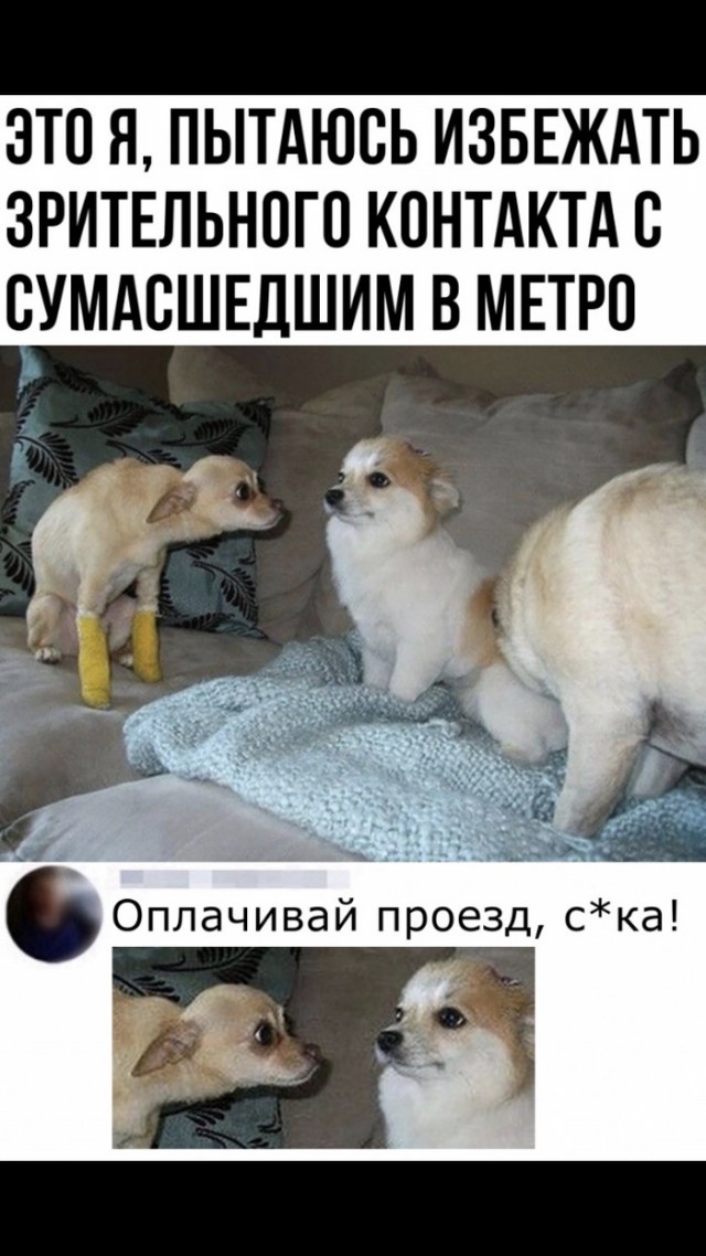 Кретинизмы в джипегах 25.10.20