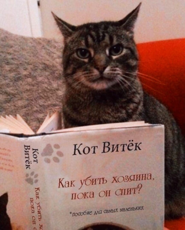 Глазки отдохните: подборка живности всякой
