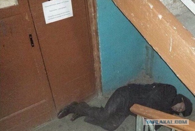 Что за хрень мне сейчас на Воцап прислали? Утка?