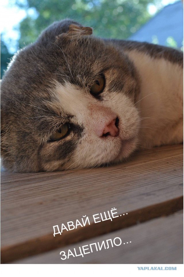 Когда все надоело