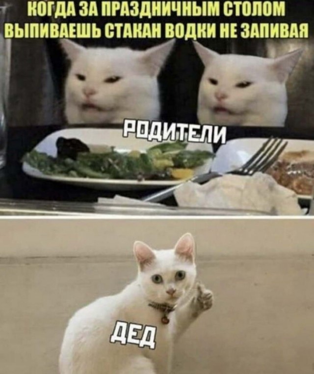 Алкопост 06.02.21