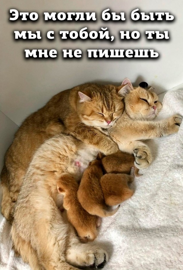 Бредзона 13.03.21