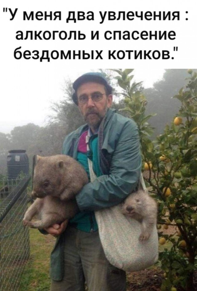 Всяческие картинки