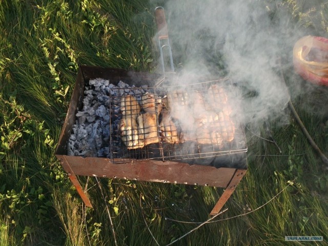 Пятничные посиделки на теплотрассе ©