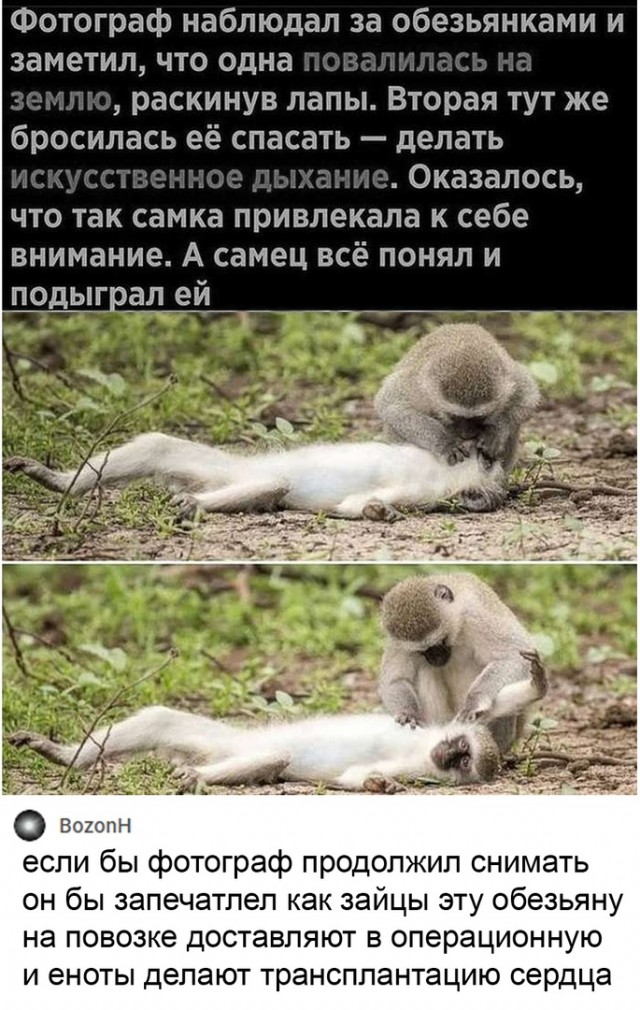 Так себе картинки 25.08.21