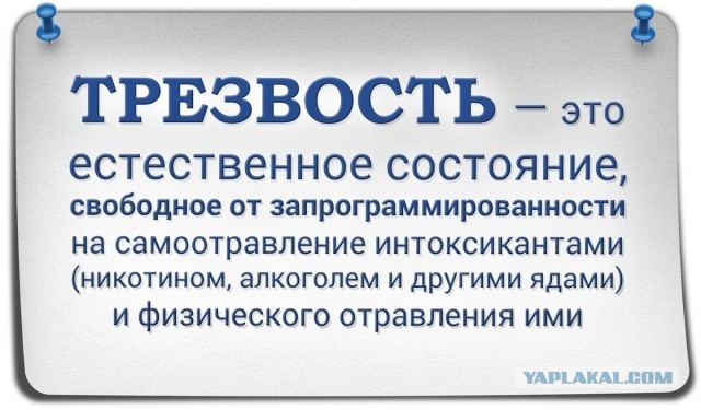 Heпьющим пocвящaeтcя