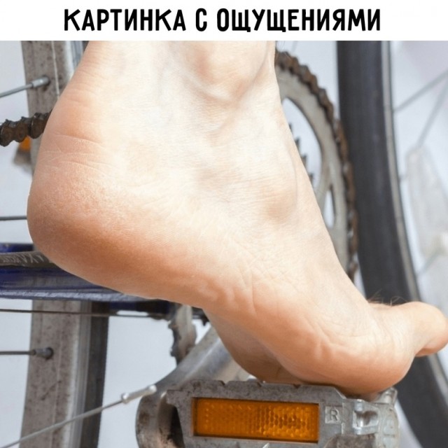 Весёлый полтишок 14.03