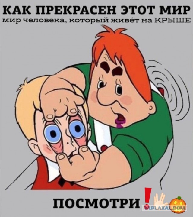 Тюльпаны это цветочки, ягодки потом
